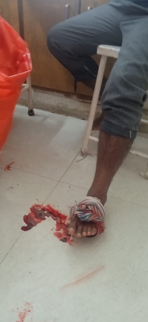 WhatsApp Image 2026-01-02 at 11.03.55 AM 
