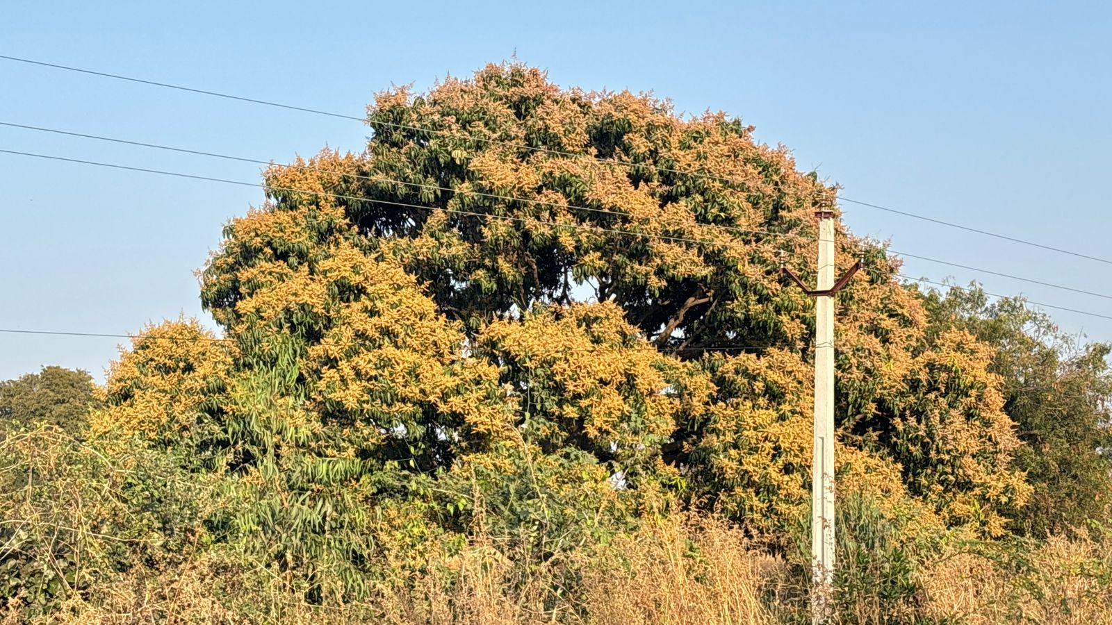 WhatsApp Image 2026-01-07 at 5.15.35 PM 