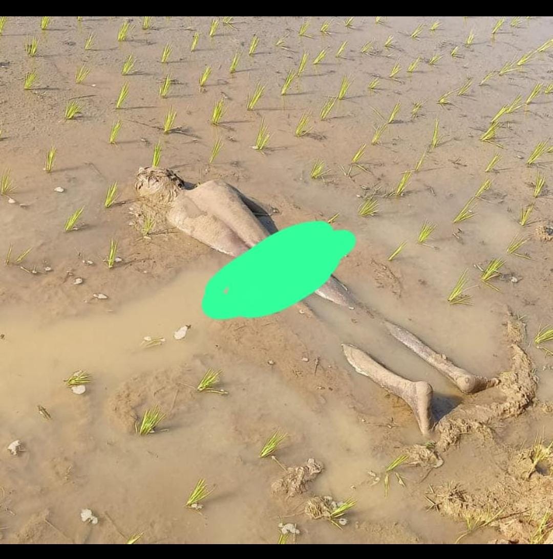 WhatsApp Image 2026-01-08 at 12.05.40 PM