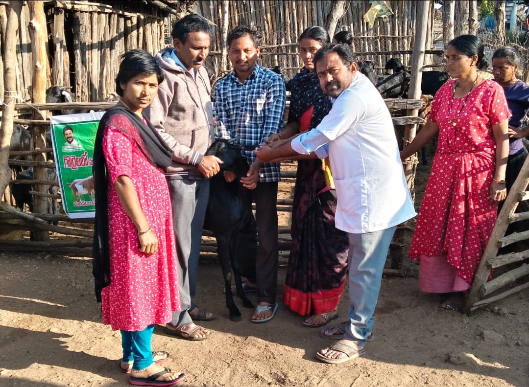 WhatsApp Image 2026-01-11 at 2.44.14 PM 