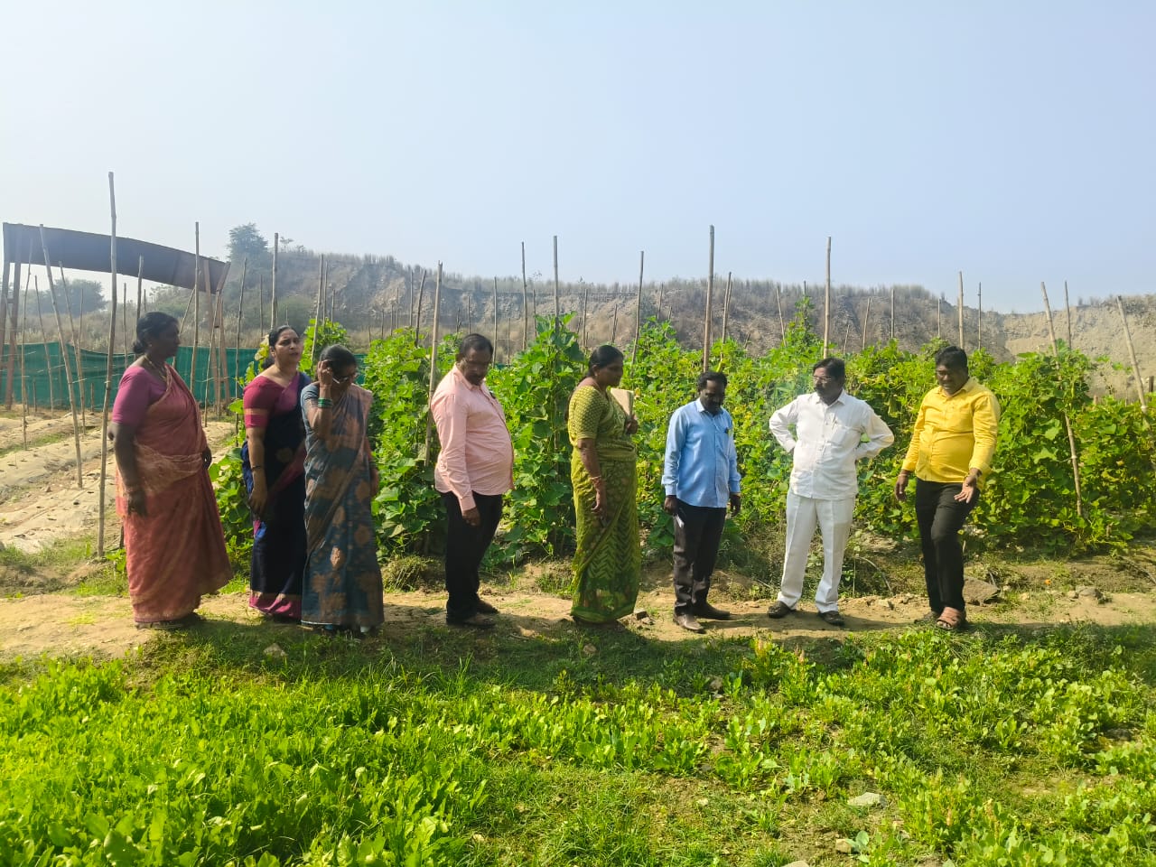 WhatsApp Image 2026-01-20 at 2.50.48 PM 