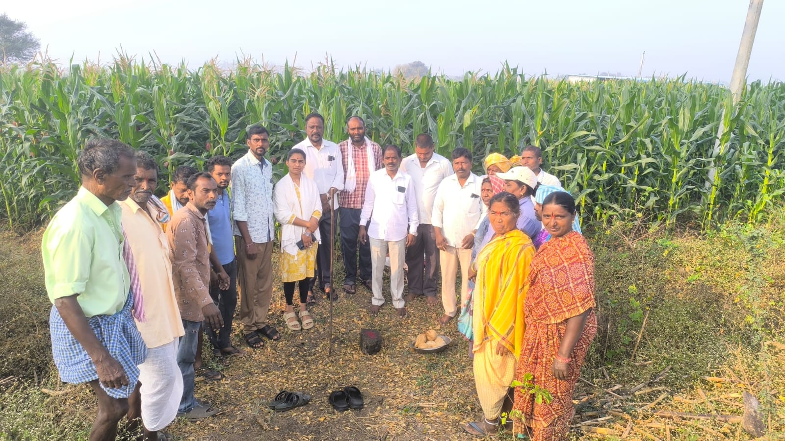 WhatsApp Image 2026-01-21 at 5.00.28 PM 