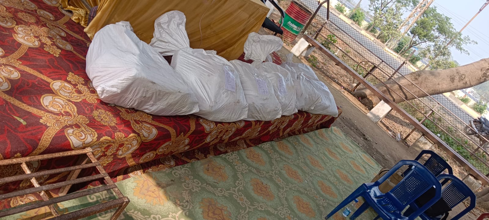 WhatsApp Image 2026-01-23 at 1.29.15 PM 