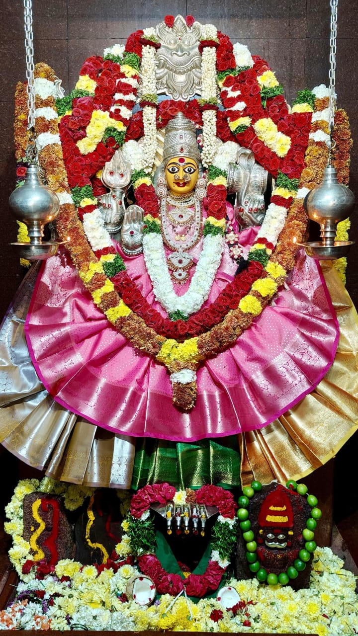 WhatsApp Image 2026-01-23 at 2.45.16 PM 