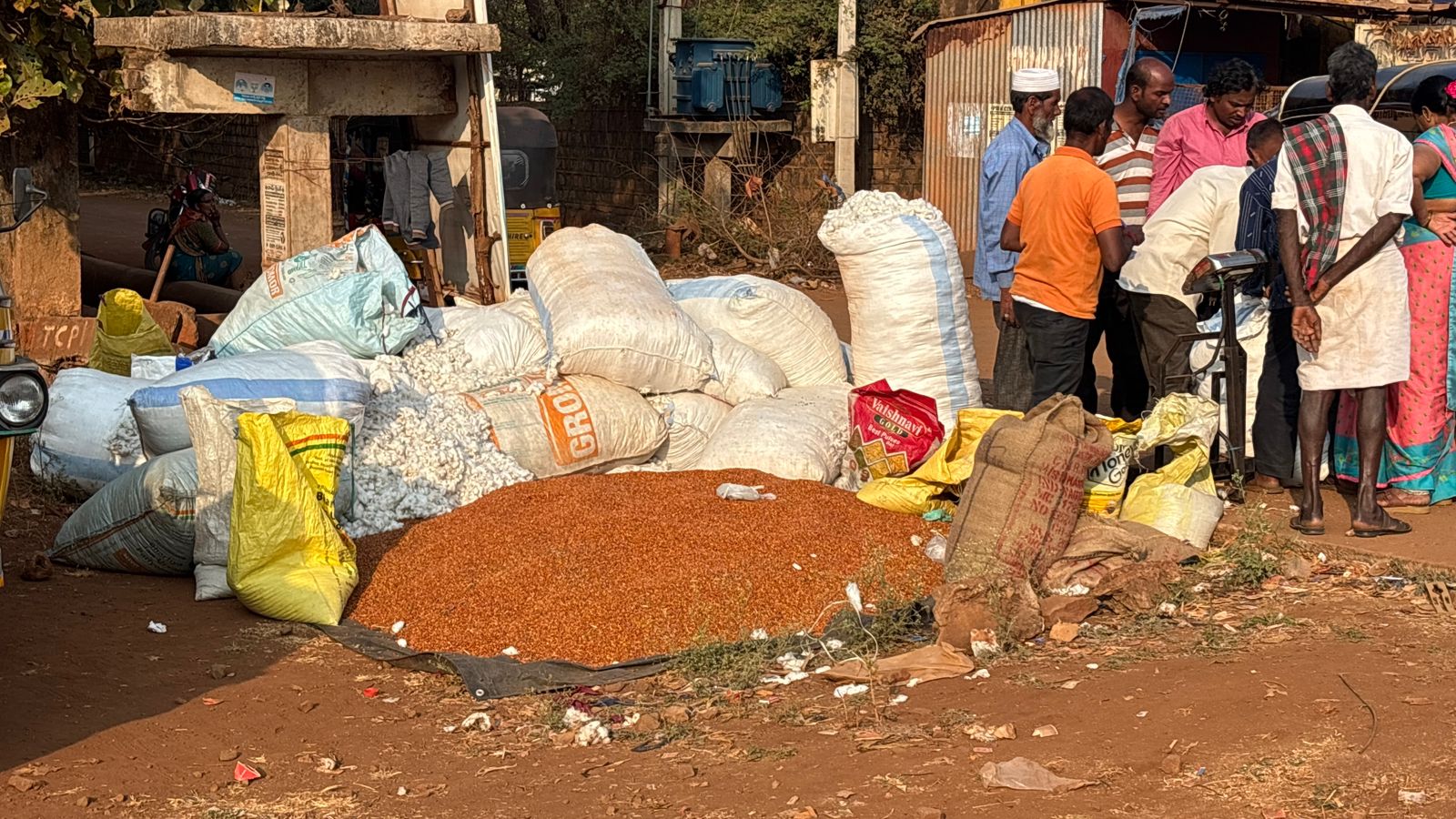 WhatsApp Image 2026-01-27 at 5.01.26 PM 