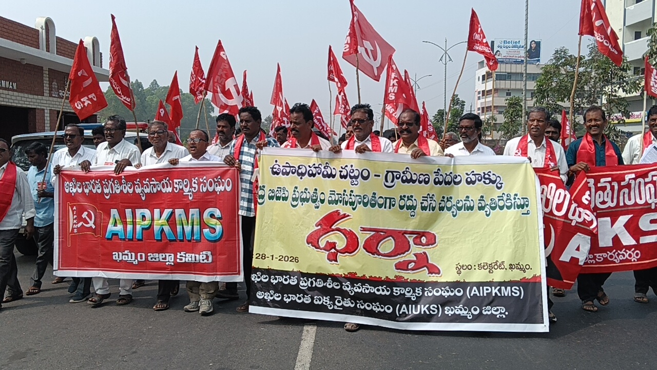 WhatsApp Image 2026-01-28 at 3.17.17 PM