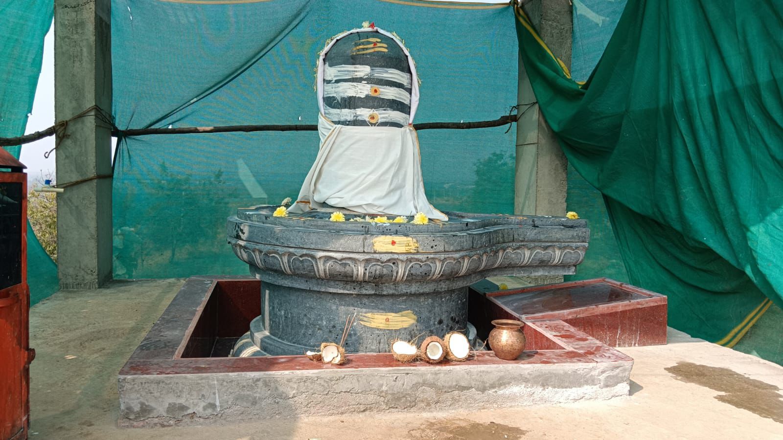 WhatsApp Image 2026-01-30 at 3.23.19 PM 