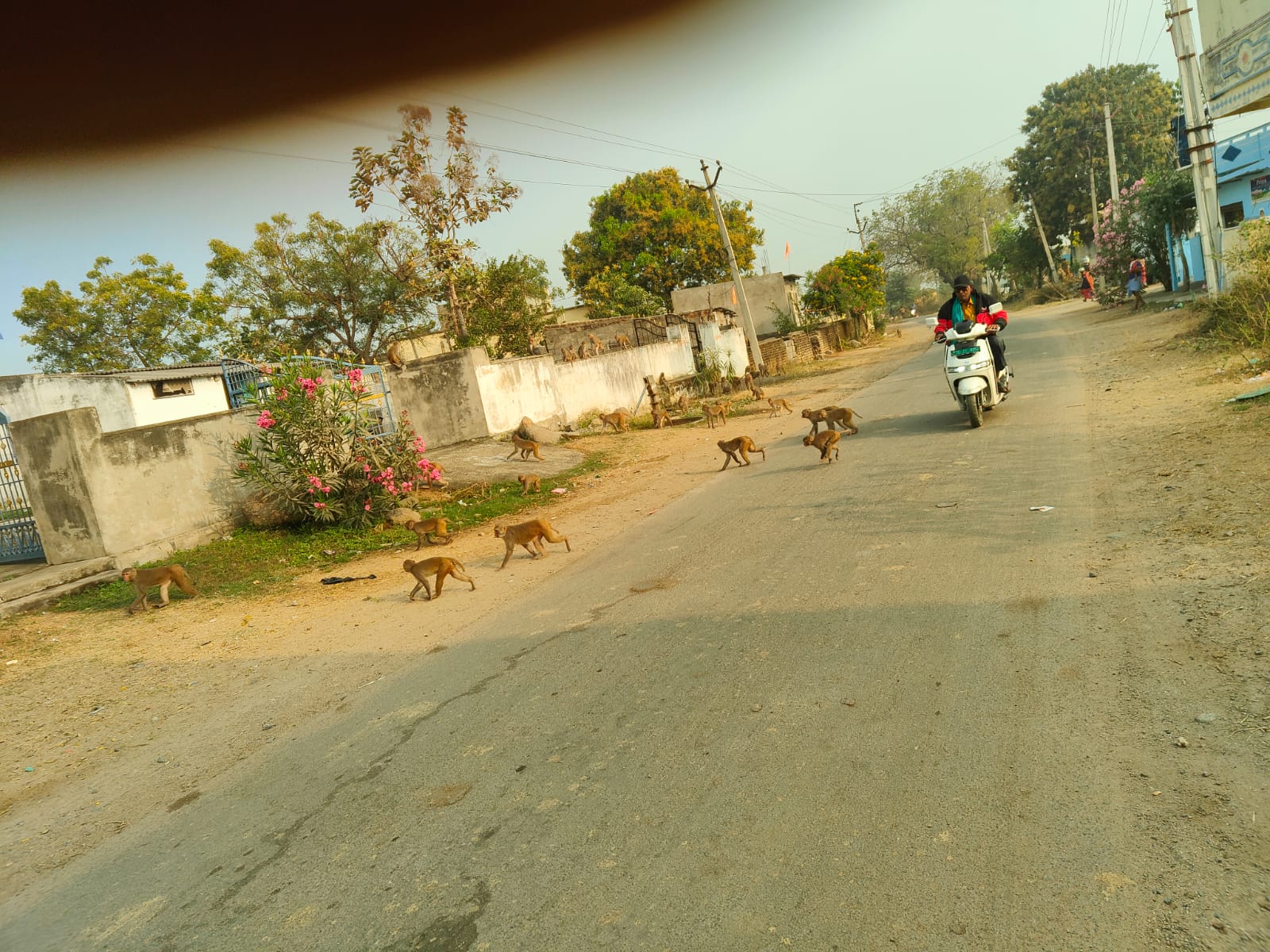 WhatsApp Image 2026-02-02 at 1.40.57 PM