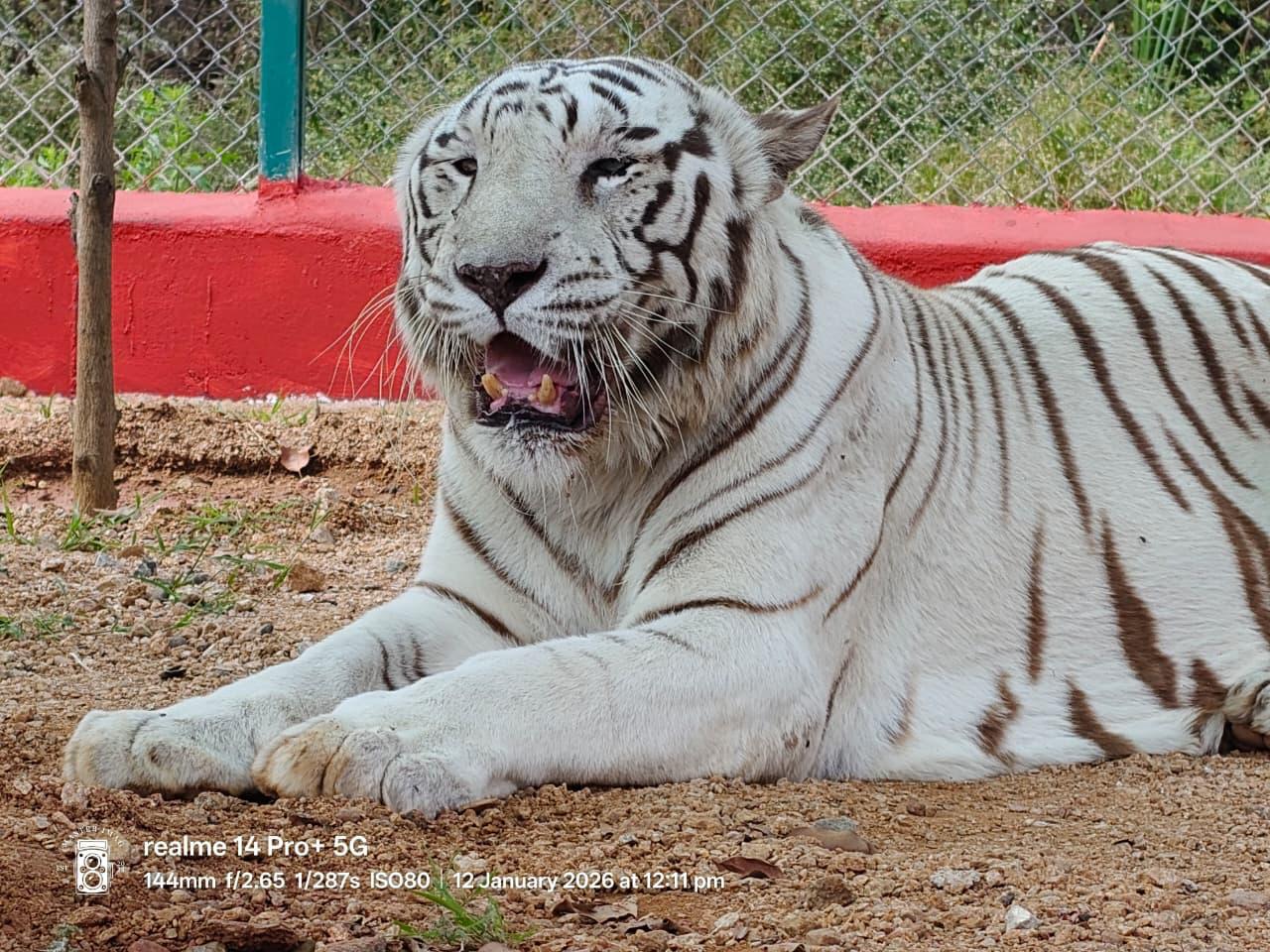 WhatsApp Image 2026-02-03 at 4.22.28 PM 