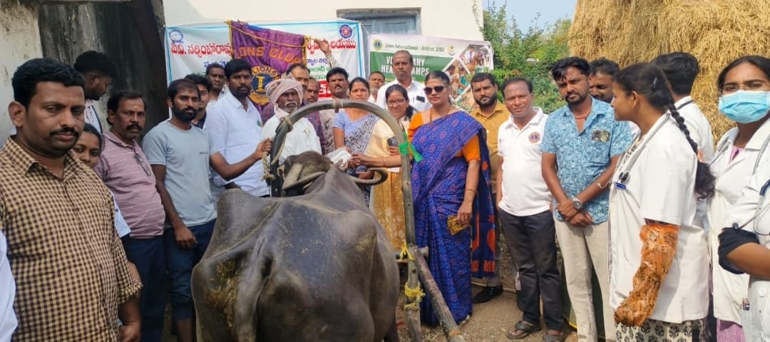 WhatsApp Image 2026-02-03 at 5.08.35 PM 