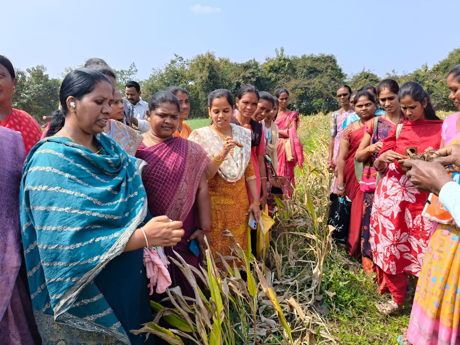 WhatsApp Image 2026-02-05 at 2.27.34 PM 