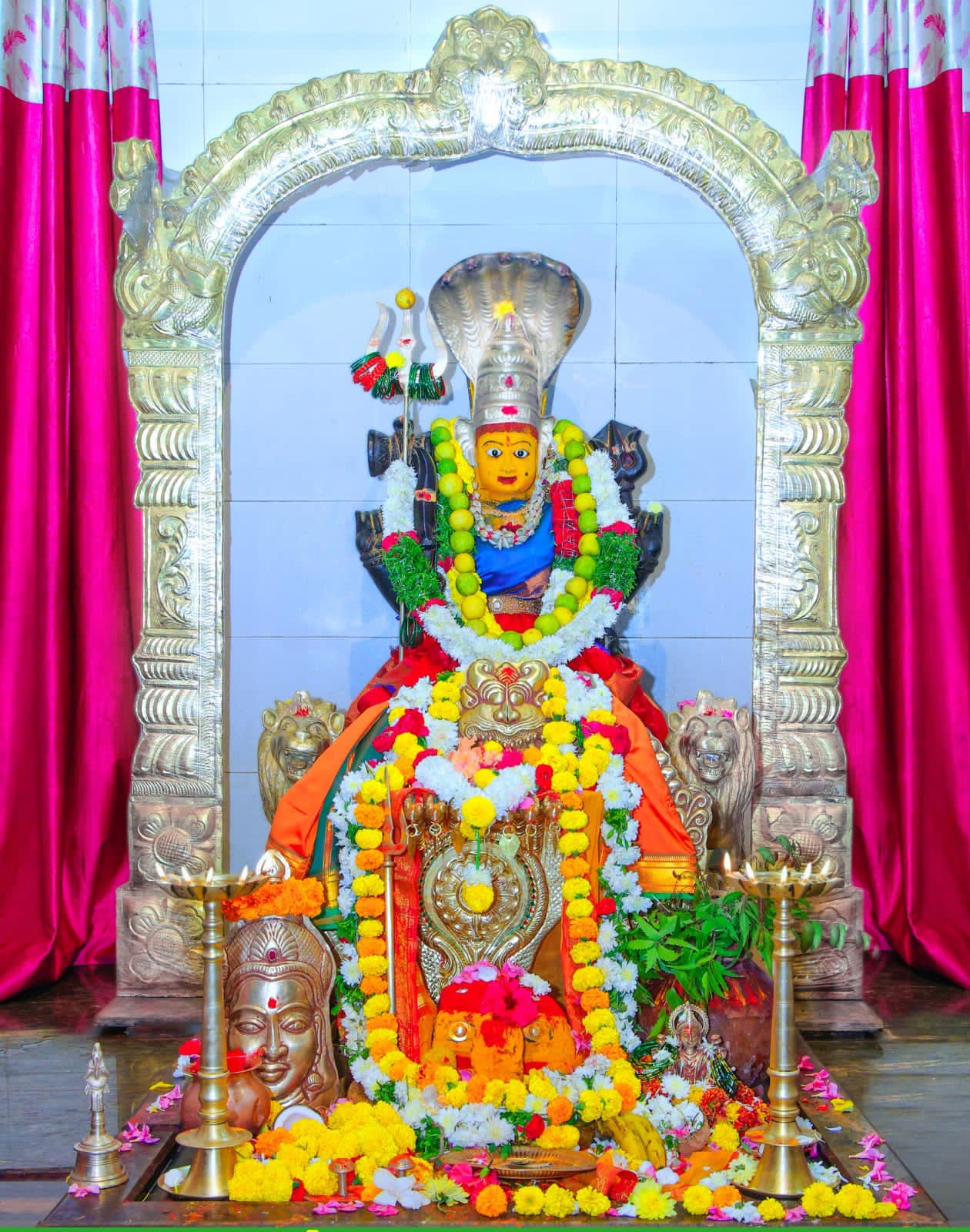 WhatsApp Image 2026-02-08 at 4.02.38 PM 