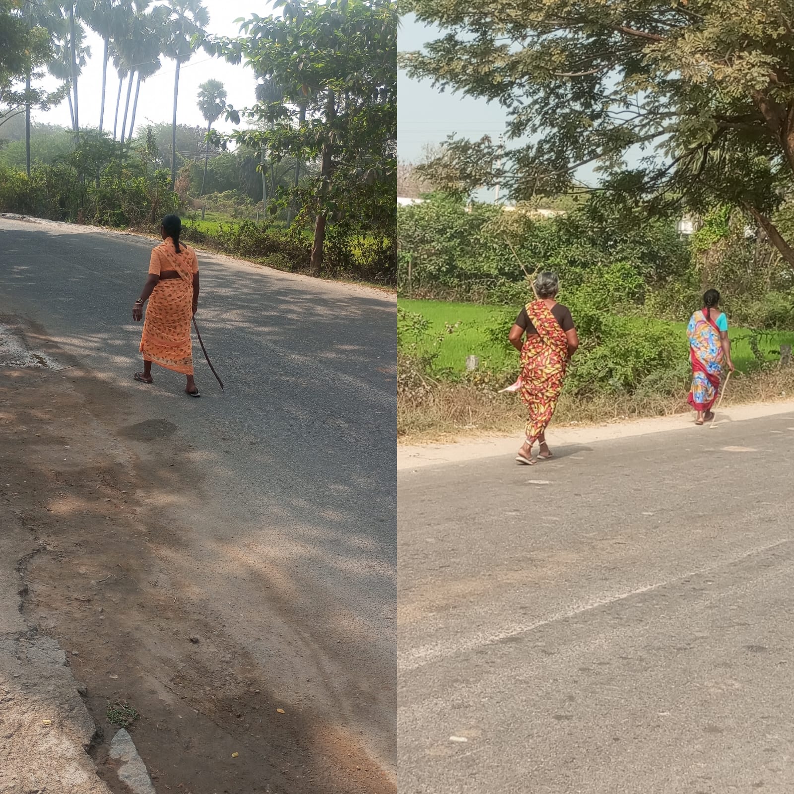 WhatsApp Image 2026-02-10 at 10.12.31 AM 