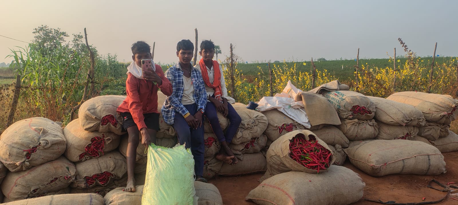 WhatsApp Image 2026-02-12 at 5.32.48 PM 