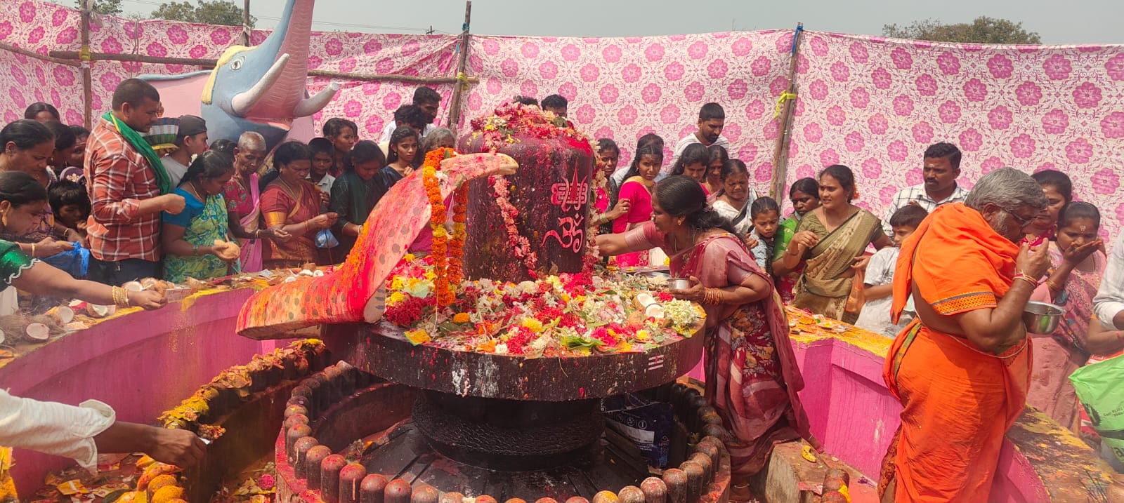 WhatsApp Image 2026-02-16 at 12.28.31 PM