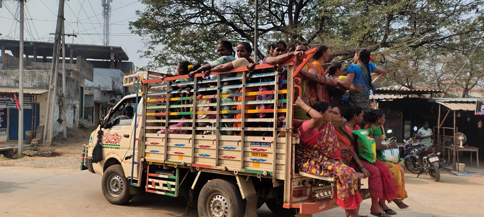 WhatsApp Image 2026-02-17 at 2.49.55 PM 