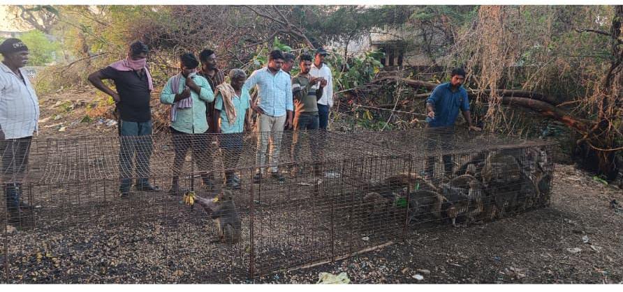 WhatsApp Image 2026-02-22 at 5.49.17 PM 