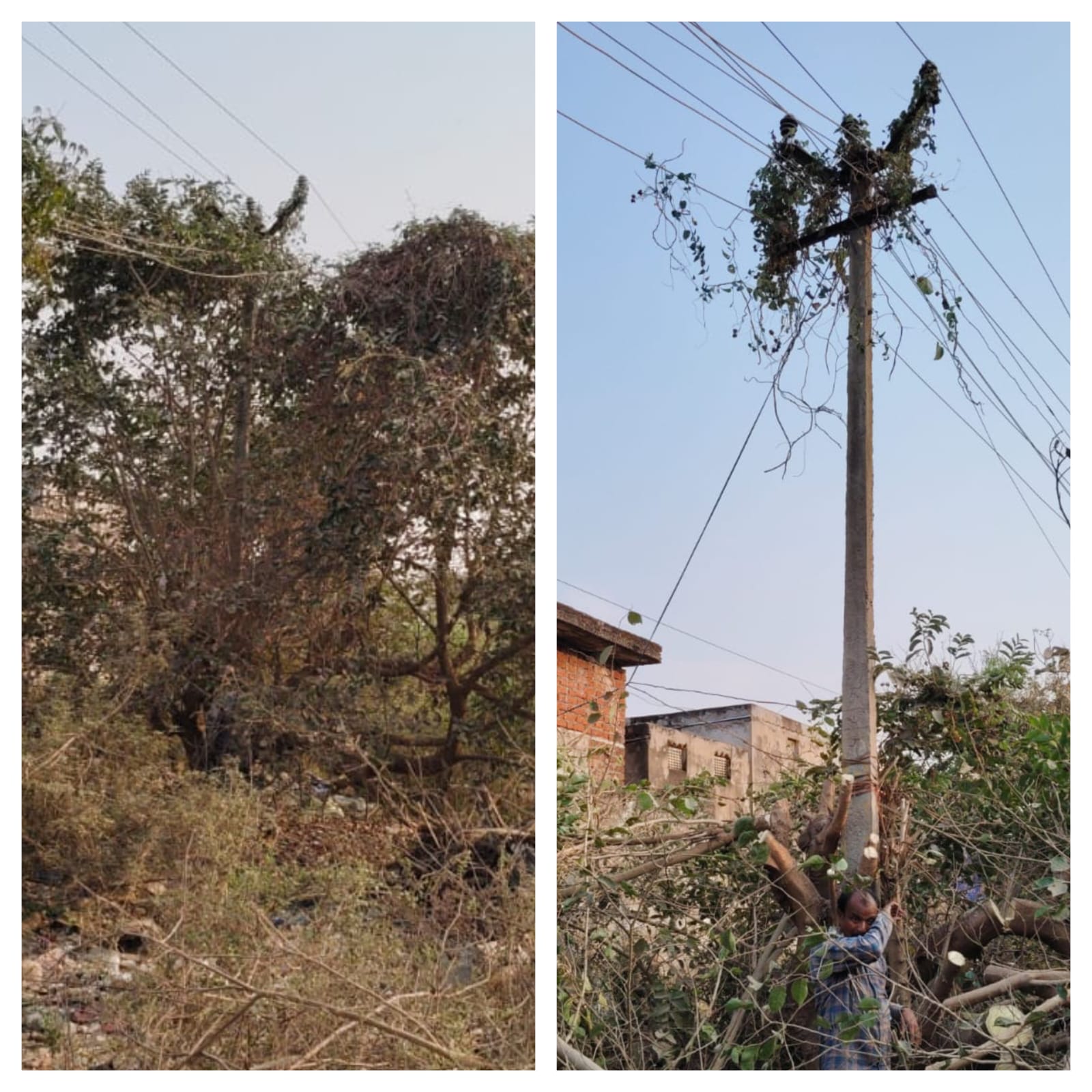 WhatsApp Image 2026-02-26 at 1.03.03 PM 