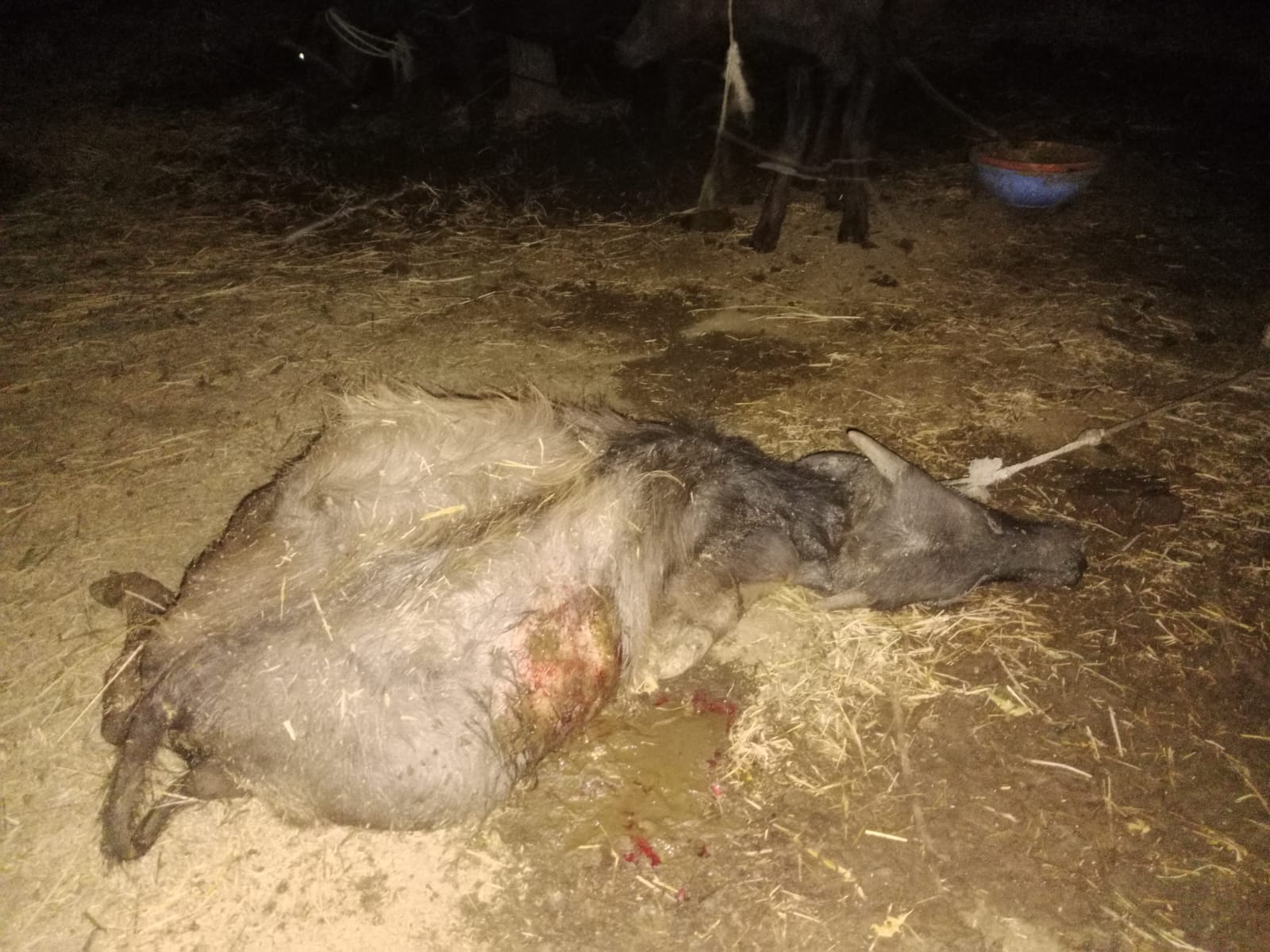 WhatsApp Image 2026-02-27 at 11.42.52 AM 