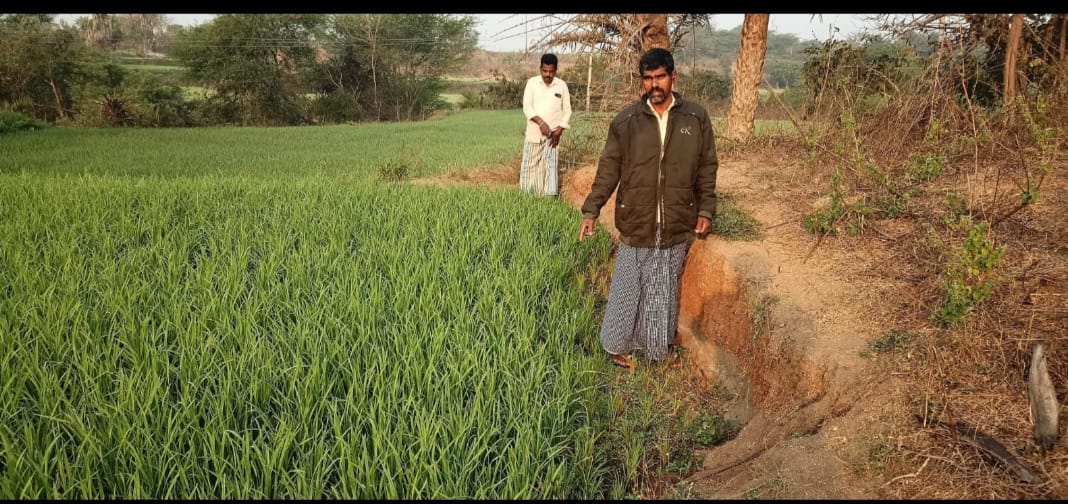 WhatsApp Image 2026-02-27 at 11.45.37 AM 