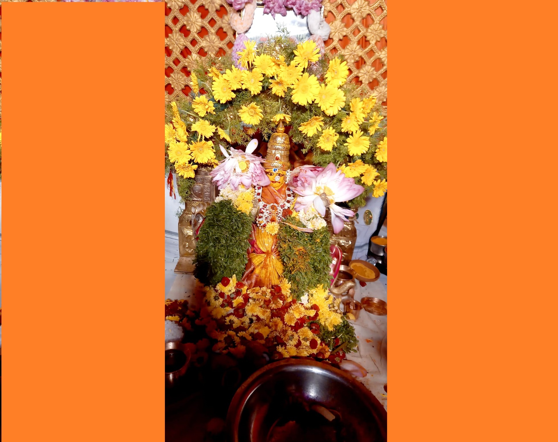 WhatsApp Image 2026-10-11 at 7.09.21 AM