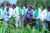 అకాల వర్షాలకు దెబ్బతిన్న మొక్కజొన్న పంటలను పరిశీలించిన జగిత్యాల ఎమ్మెల్యే డా సంజయ్ కుమార్