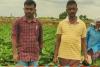 చినుకు పడిందని సంబరపడితే నష్టమే