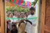 శ్రీగాథ లో ఇందిరమ్మ ఇల్లు గృహప్రవేశం