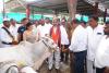 రాజన్న ప్రసాదంగా రైతులకు కోడెల పంపిణీ