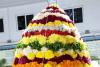 రేపు కాటారం ఆసుపత్రిలో బతుకమ్మ వేడుకలు