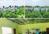 సాగులో చీడ పీడల"యాజమాన్య పద్ధతుల పై అవగాహన.