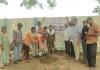 చౌటకూర్‌లో ఘనంగా ‘ఏక్ పేడ్ మా కే నామ్’ కార్యక్రమం
