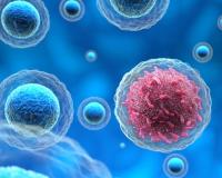 క్యాన్సర్ చికిత్సలో విప్లవం.. హైదరాబాద్ శాస్త్రవేత్తల అద్భుత ఆవిష్కరణ..!