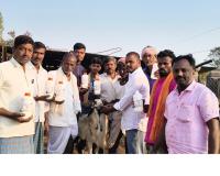 గొర్రెలు, మేకలకు నట్టల నివారణ మందులు పంపిణీ