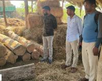 కలమడుగు గ్రామంలో ఫారెస్ట్ అధికారుల మెరుపు దాడి