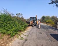 రోడ్డు ప్రమాదాల నివారణకు ముళ్ళ పొదలు తొలగింపు....