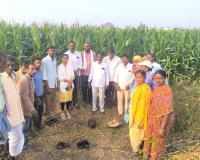 ఉపాధి హామీ పనులను ప్రారంభించిన సర్పంచ్ భాషిపాక సదయ్య 