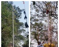 మండల వ్యాప్తంగా 77 వ గణతంత్ర దినోత్సవ వేడుకలు 