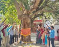  వారసత్వ వృక్షం లేదా తల్లి మొక్క ప్రకటన 