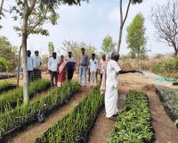 మల్లికార్జునగిరి నర్సరీ పరిశీలన