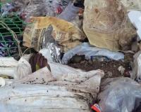 కామారెడ్డి జిల్లా కేంద్రంలో దారుణ ఘటన..మంటగలుస్తున్న మానవ సంబంధాలు !