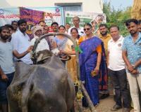 లయన్స్ ఆధ్వర్యంలో పశు వైద్య శిబిరం 