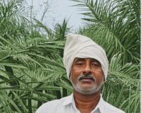  పంట చేతికొచ్చే వేళ పవర్ కట్‌లు – బోథ్ రైతుల భవిష్యత్తుతో ఆటలాడుతున్న విద్యుత్ శాఖ