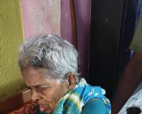 కోతుల దాడిలో వృద్దురాలికి తీవ్ర గాయం