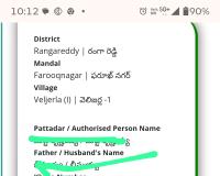 సీలింగ్, భూదాన్ భూములపై రియల్ ఎస్టేట్ దందా