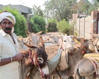 అక్రమ ఇసుక కుప్పలు సీజ్  పోలీస్, రెవెన్యూ శాఖ, 