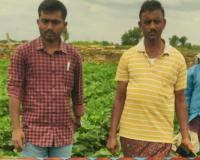 చినుకు పడిందని సంబరపడితే నష్టమే