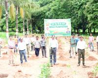 సింగరేణిలో మెగా వృక్షారోపణ కార్యక్రమం