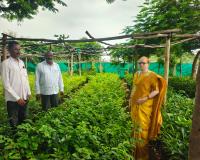 నర్సరీని సందర్శించిన డీఎల్పీఓ చందన