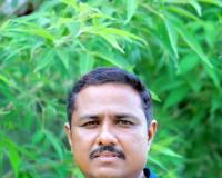 వర్షాభావంలో వరికి స్వస్తి.